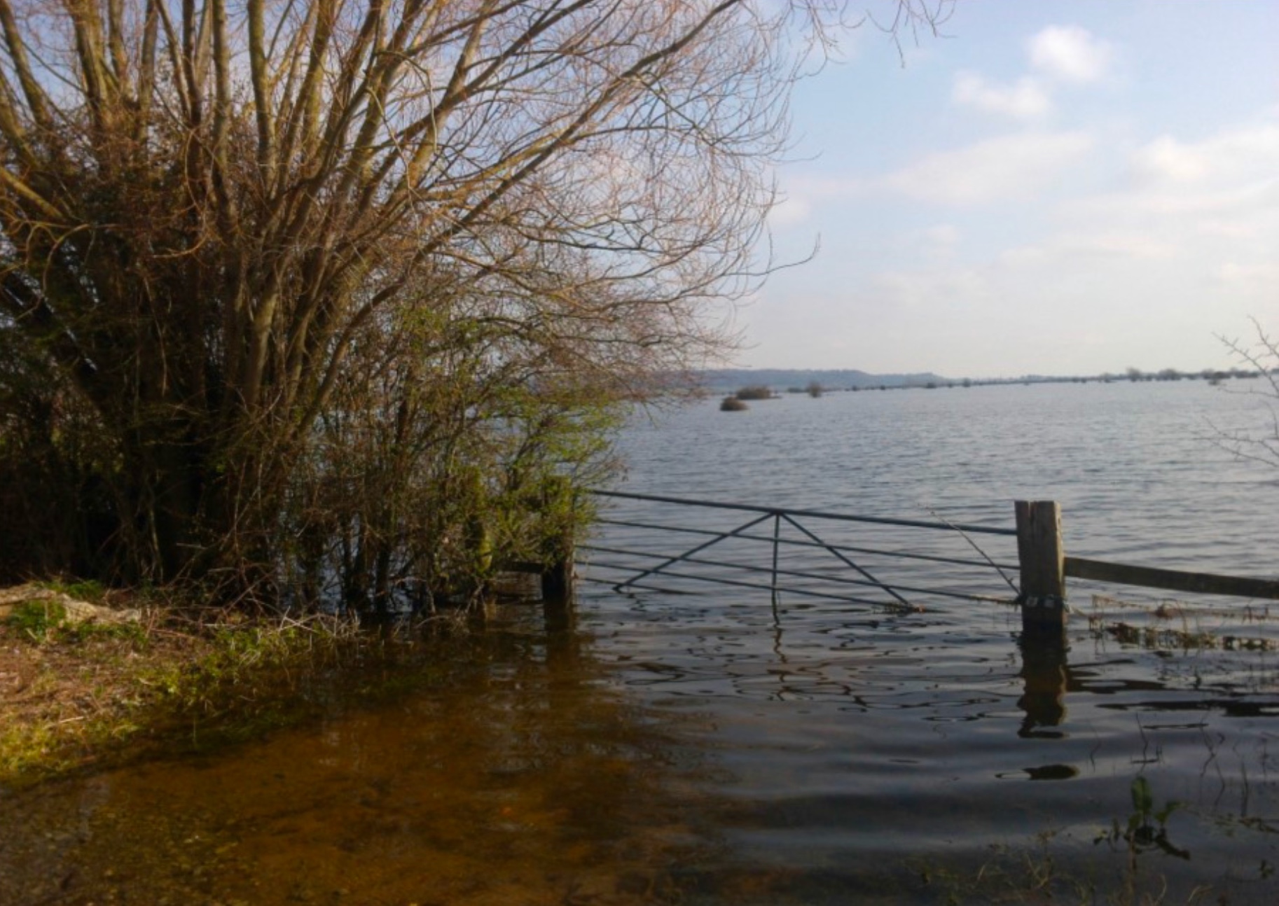 Somerset Levels 3
